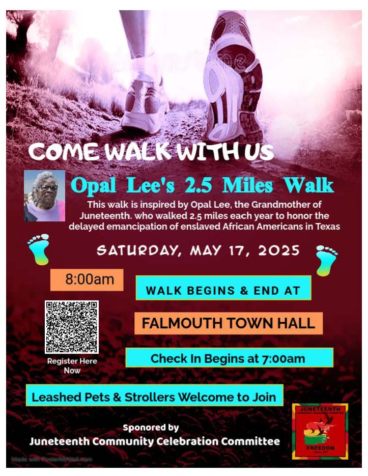 Flyer - Walk 2025