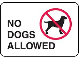 no dogs allowed