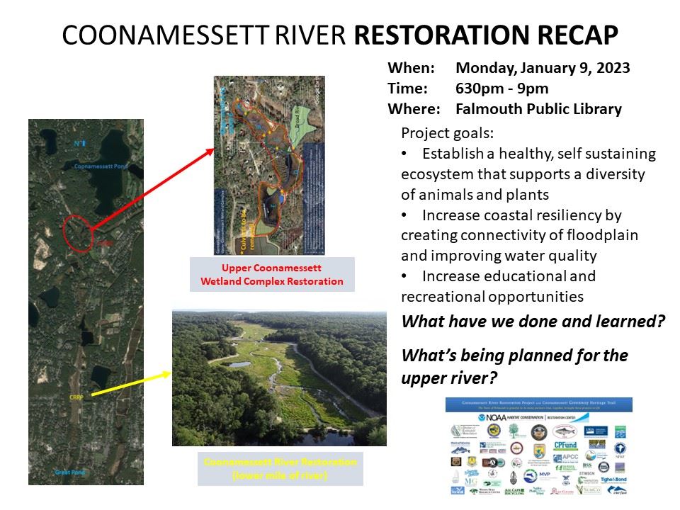 Coonamessett River Restoration Recap
